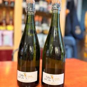 Cava Celler de l'Avi